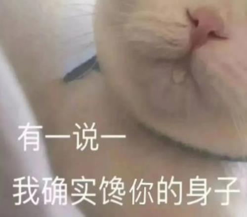 西雅图海怪,常规赛,不敌明尼苏,球盟会官网,球盟会入口,球盟会平台,球盟会官方